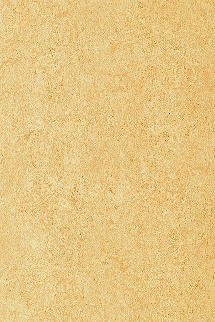 Haro_Linett_apricot Haro_Linett_apricot